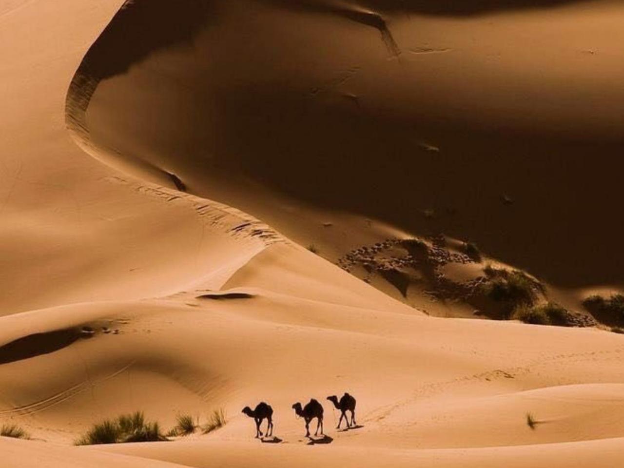 Amazing Luxury Camp Hotel Merzouga Exterior photo